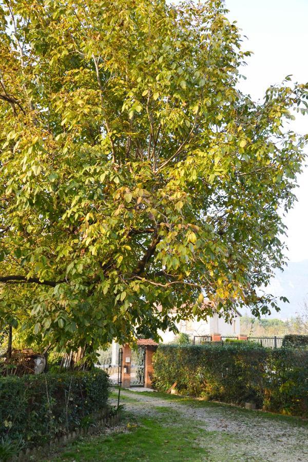Bed and Breakfast Fable Terni Esterno foto